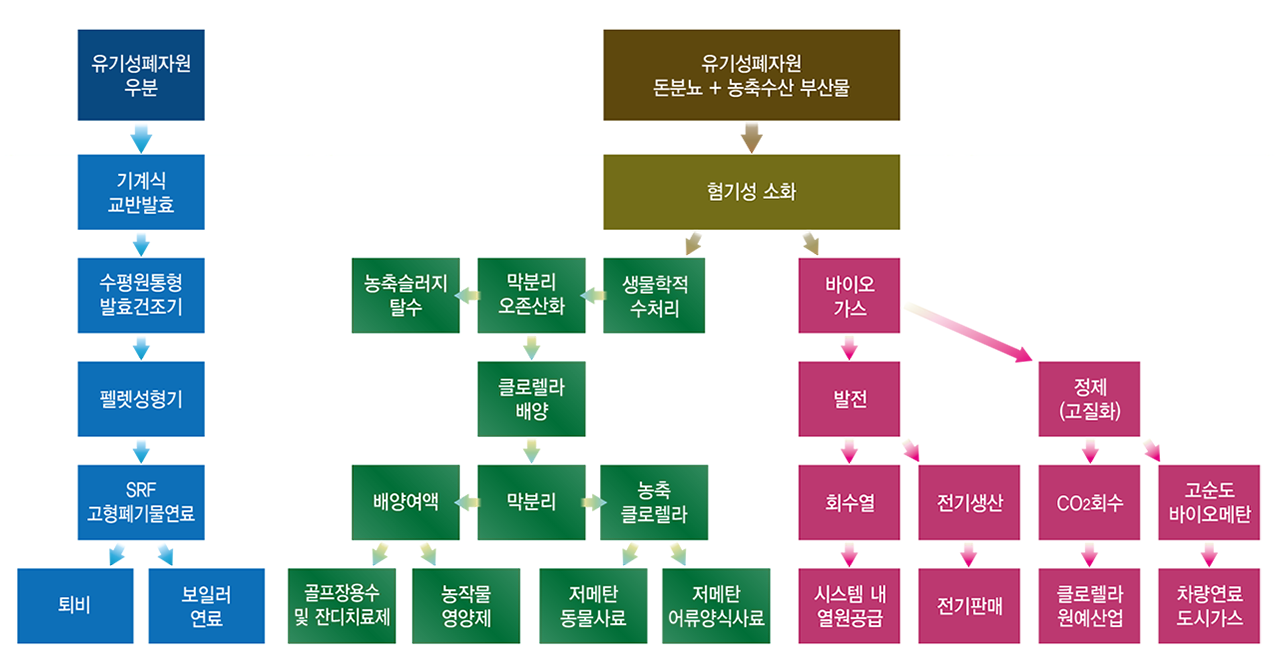 처리 계통도